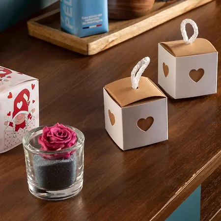 Montparnasse Alésia 3*