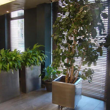 Montparnasse Alesia מלון פריז